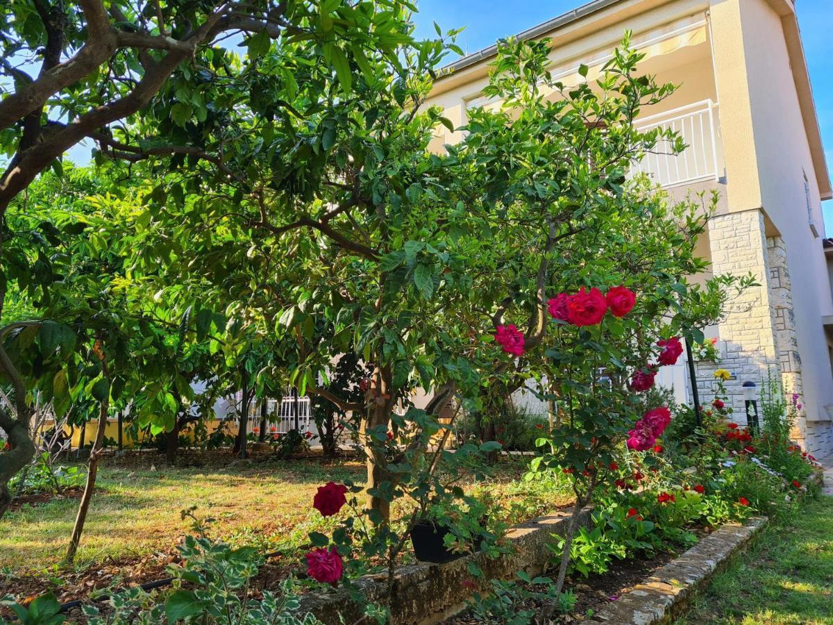 Apartments Ana メドゥリン エクステリア 写真