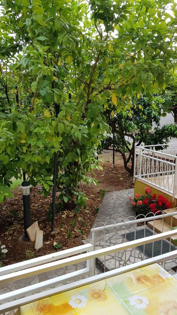 Apartments Ana メドゥリン 部屋 写真